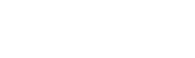 Den Norske Dataforening Logo